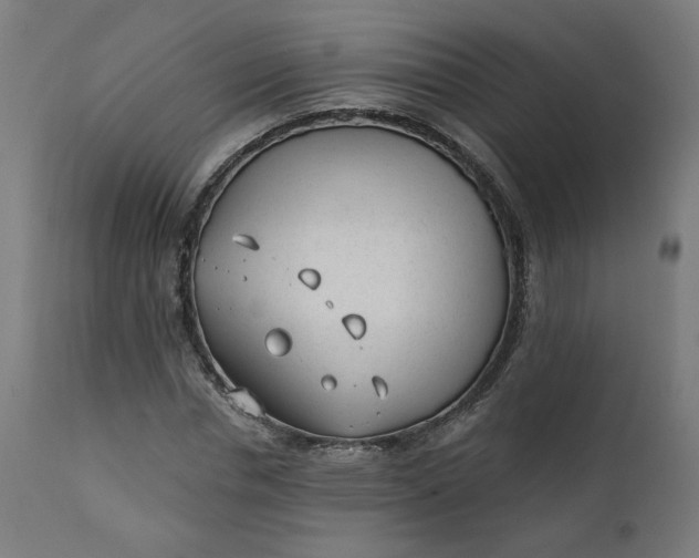 X0000111610826200907311137