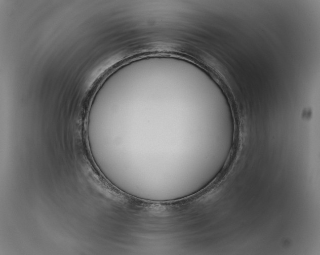 X0000111610827200907311137