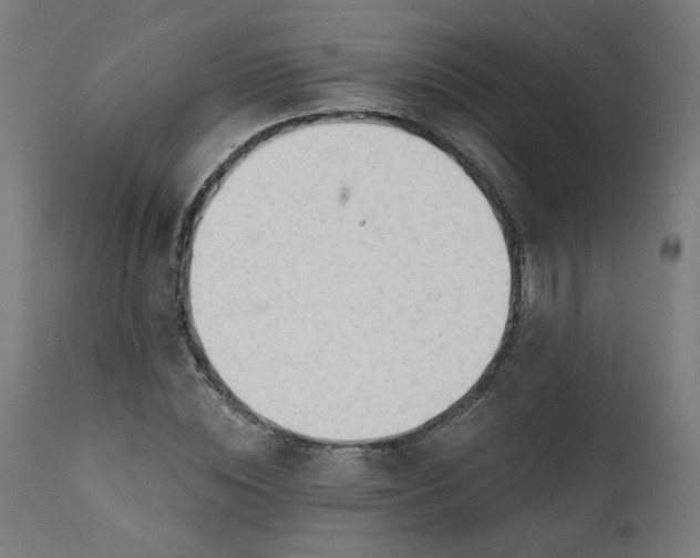 X0000111610828200907311137