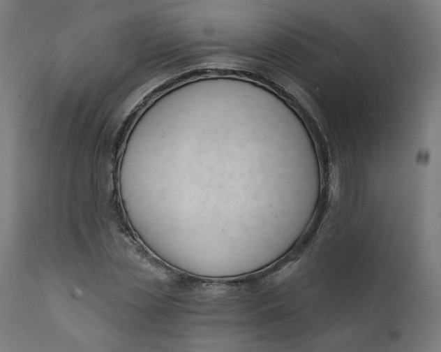 X0000111610829200907311137