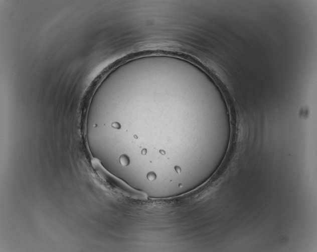 X0000111610830200907311137