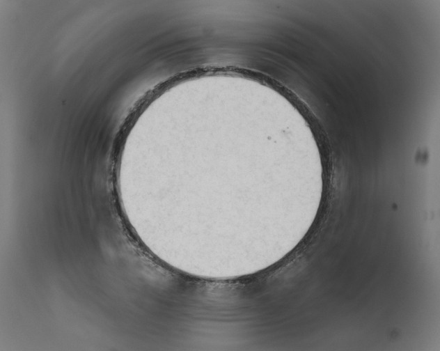 X0000111610832200907311137