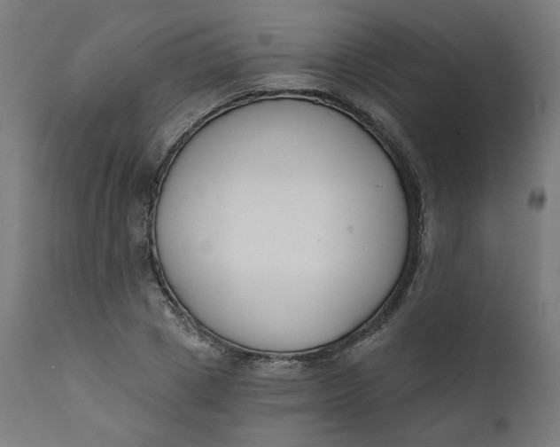 X0000111610833200907311137