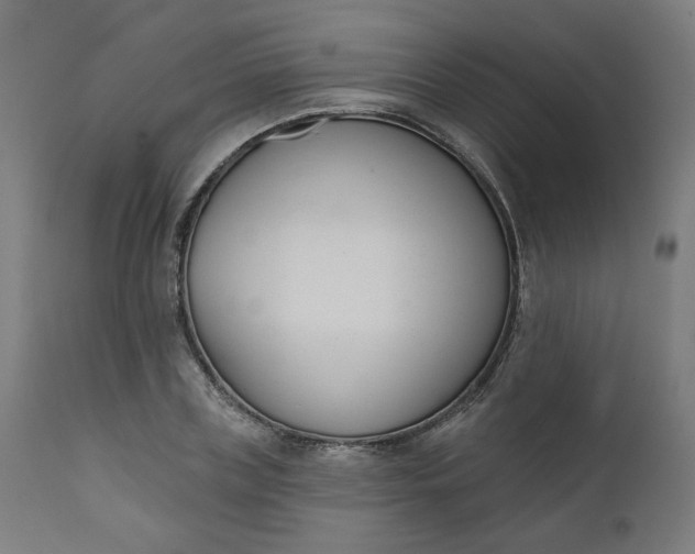 X0000111610835200907311137