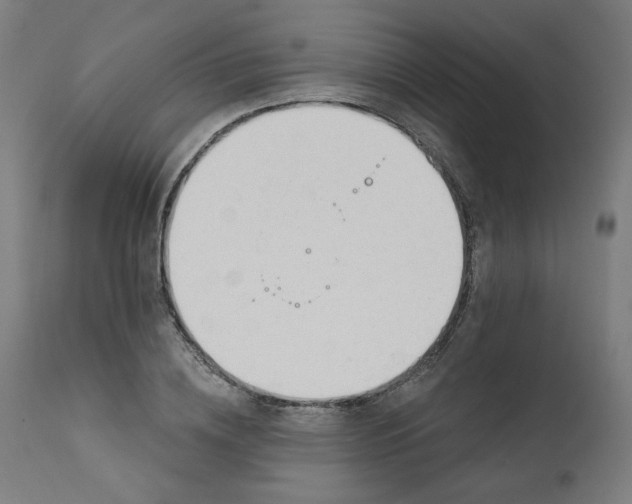 X0000111610836200907311137