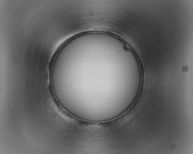 X0000111610838200907311137