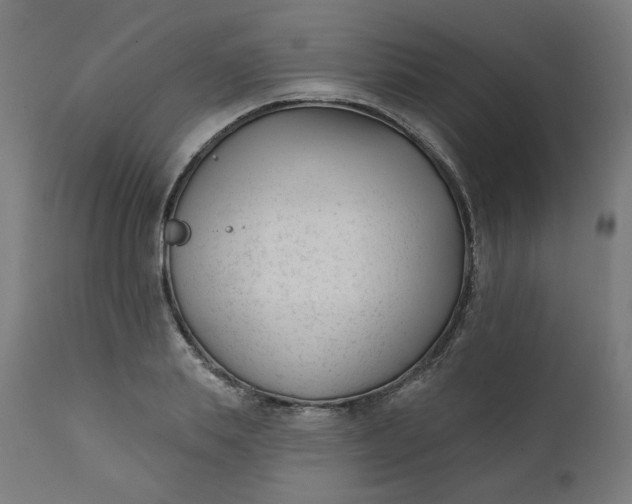 X0000111610839200907311137