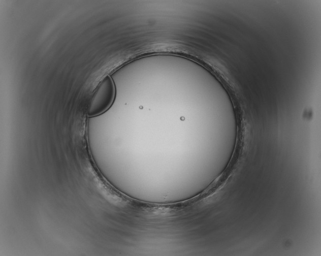 X0000111610841200907311137