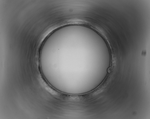 X0000111610843200907311137