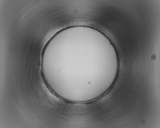 X0000111610844200907311137