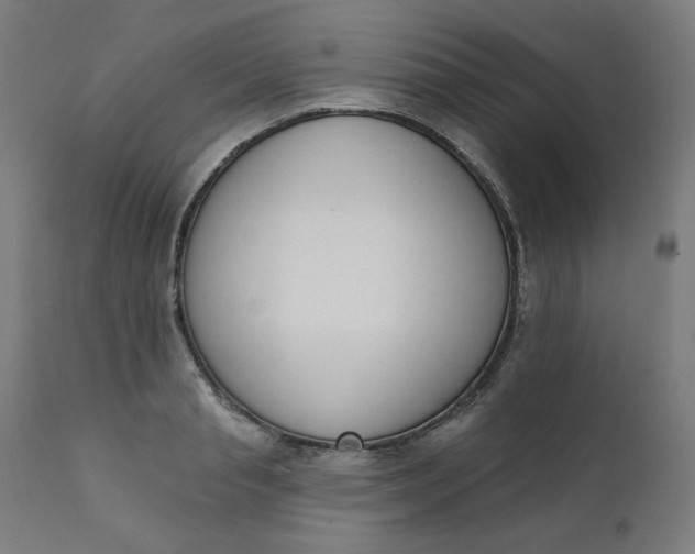 X0000111610845200907311137