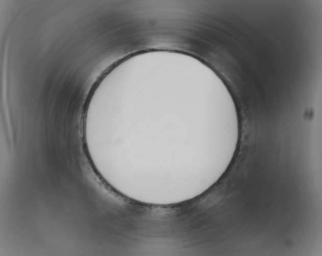 X0000111610848200907311137