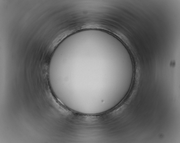 X0000111610849200907311137