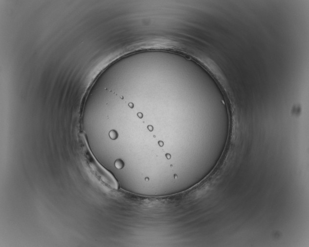 X0000111610850200907311137