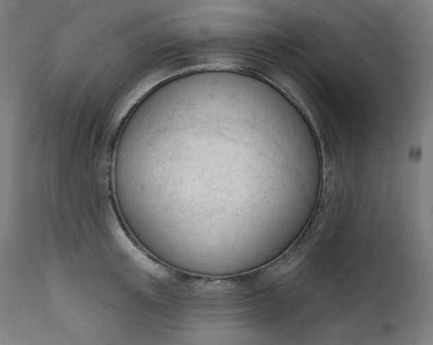 X0000111610851200907311137