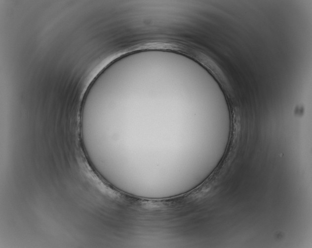 X0000111610852200907311137