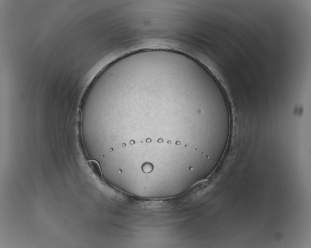 X0000111610853200907311137