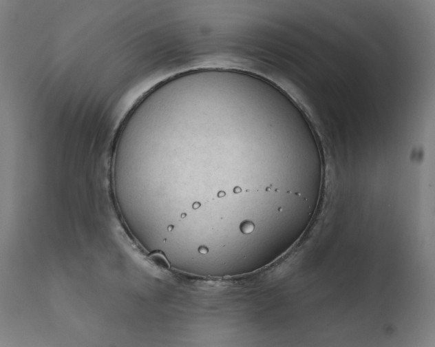 X0000111610854200907311137