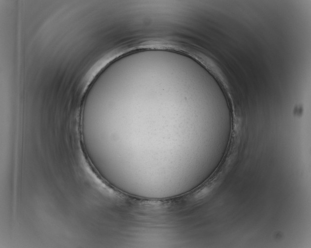 X0000111610855200907311137