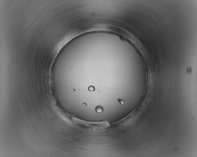 X0000111610858200907311137