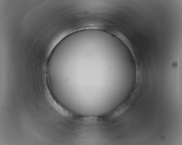 X0000111610859200907311137