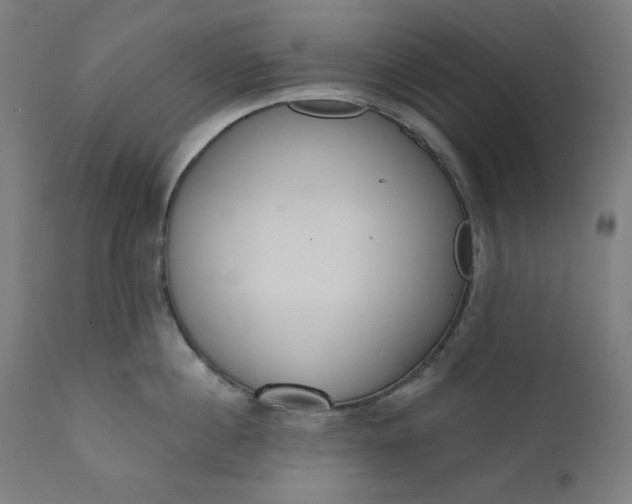 X0000111610860200907311137