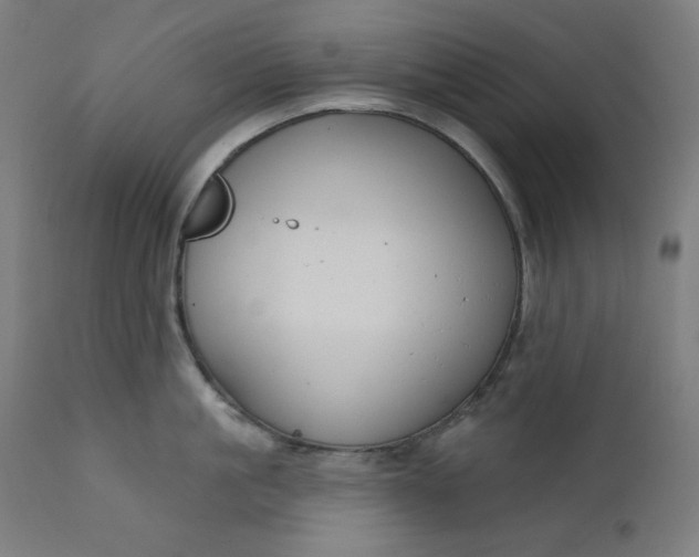 X0000111610861200907311137