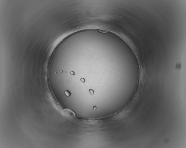 X0000111610862200907311137