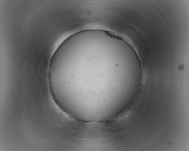 X0000111610863200907311137