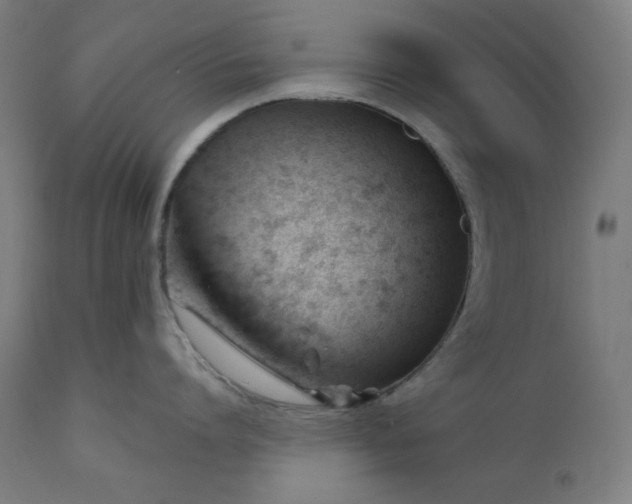 X0000111610864200907311137