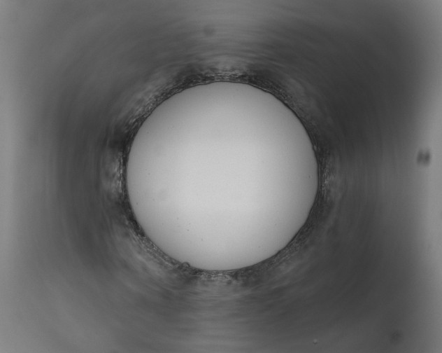 X0000111610866200907311137