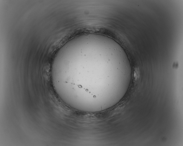 X0000111610867200907311137