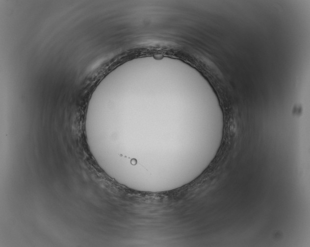 X0000111610869200907311137