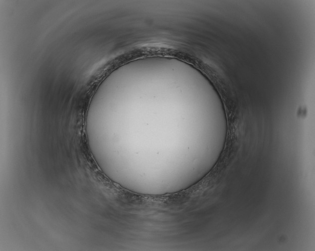 X0000111610870200907311137