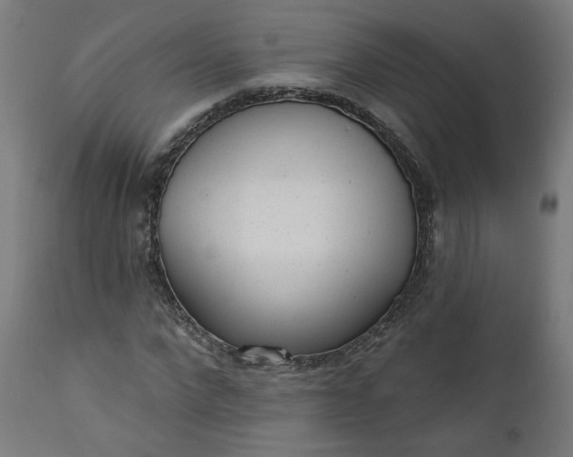 X0000111610872200907311137