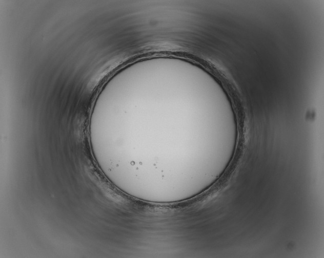 X0000111610873200907311137