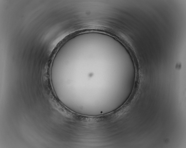 X0000111610875200907311137