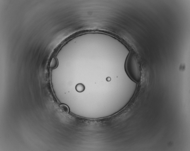 X0000111610876200907311137