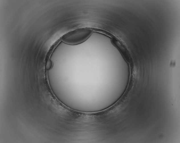 X0000111610877200907311137