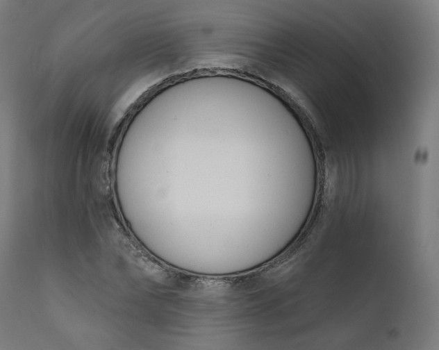 X0000111610878200907311137