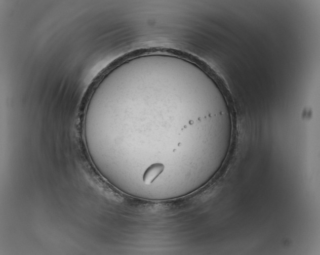 X0000111610879200907311137