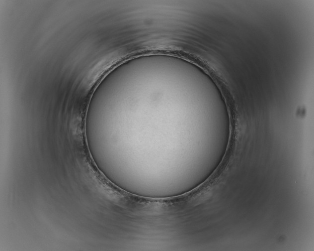 X0000111610881200907311137