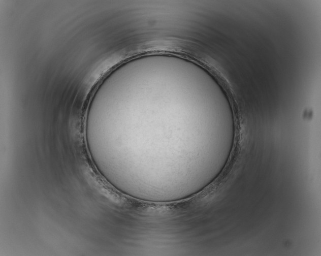 X0000111610882200907311137