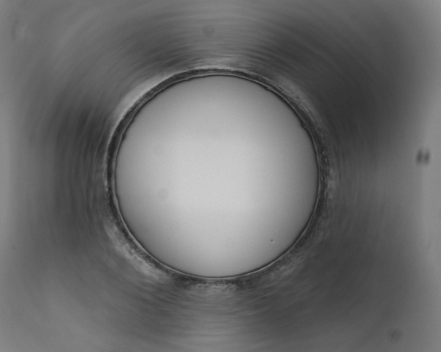 X0000111610884200907311137