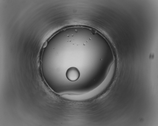 X0000111610885200907311137