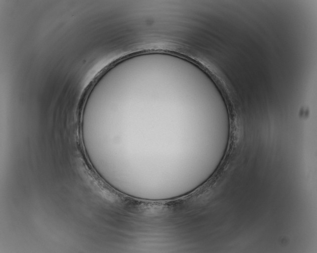 X0000111610886200907311137