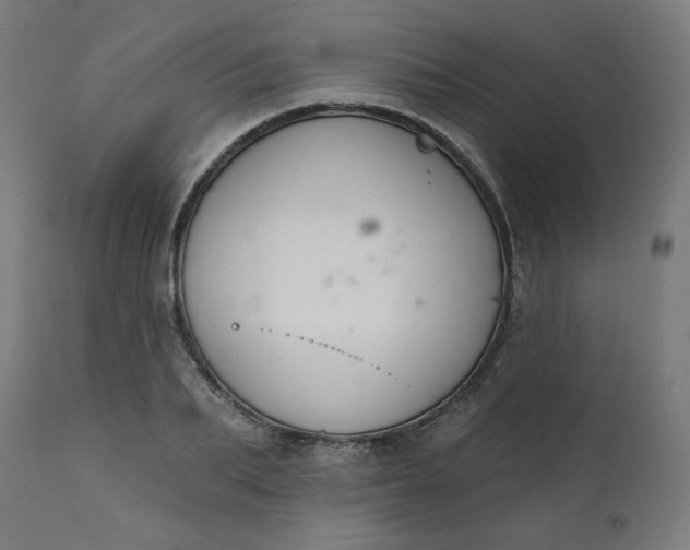 X0000111610887200907311137