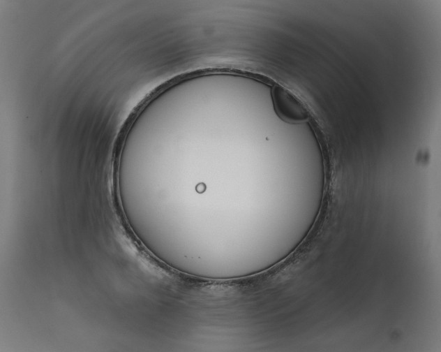 X0000111610888200907311137