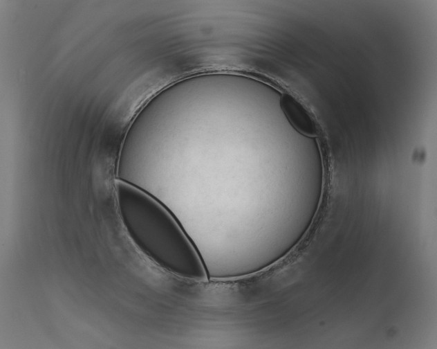 X0000111610889200907311136