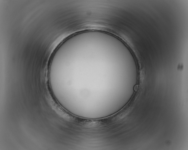 X0000111610891200907311136